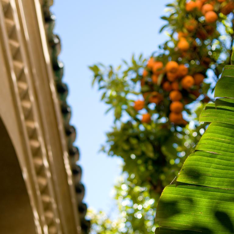 Riad La Maison D'A Cote Meknès Exterior foto